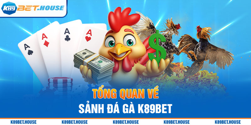 Tổng quan về sảnh đá gà K89BET 